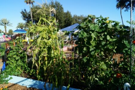 The First Feast Project, Part 4: Disconnected from Our Food Image